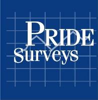 Pride Surveys image 1